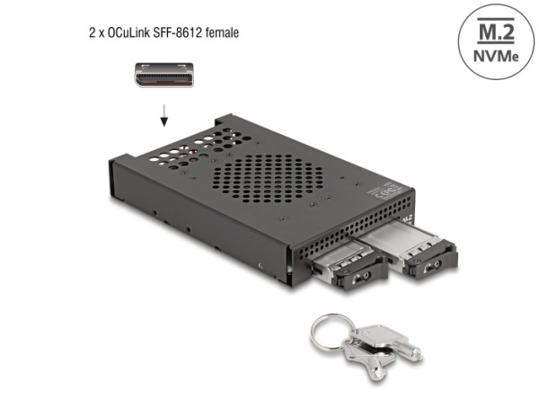 DeLOCK 3.5″ Wechselrahmen für 2 x M.2 NVMe SSD mit OcuLink SFF-8612 Anschluss (47070)