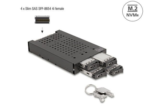 DeLOCK 3.5″ Wechselrahmen für 4 x M.2 NVMe SSD mit Slim SAS SFF-8654 Anschluss (47072)
