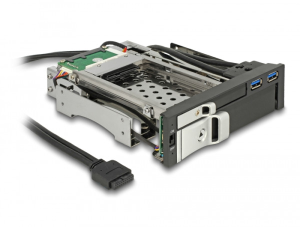 DeLOCK 47209 Hard Drive Backplane 13,3 cm 5.25" I/O ports panel Schwarz (47209)