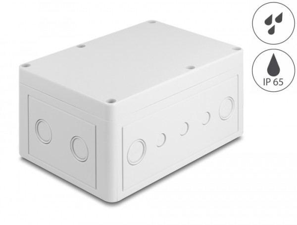 DeLOCK Installationsgehäuse mit Kabeleinführungen 180 x 125 x 90 mm grau (60492)