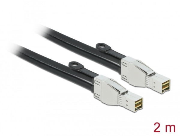 DeLOCK PCI Express Kabel Mini SAS HD SFF-8674 zu SFF-8674 2 m (86622)