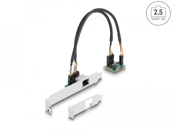 DeLOCK Mini PCIe I/O PCIe half size 1 x RJ45 2,5 Gigabit LAN (95271)