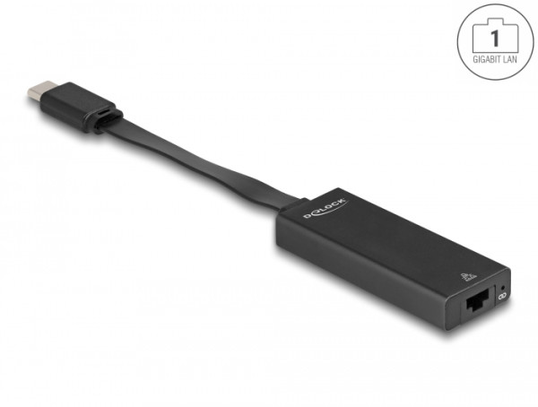 DeLOCK USB Type-C Adapter zu Gigabit LAN slim (66246)