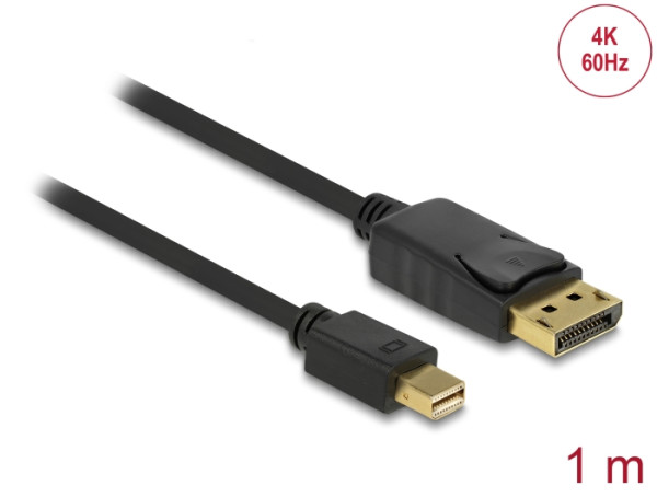 DeLOCK 1m Displayport Cable mini DisplayPort Schwarz (82698)