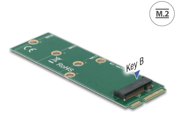 DeLOCK Adapter mSATA zu M.2 Key B Slot (64109)