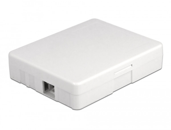 DeLOCK LWL Anschlussdose zur Wandmontage für 2 x SC Simplex oder LC Duplex weiß (86842)