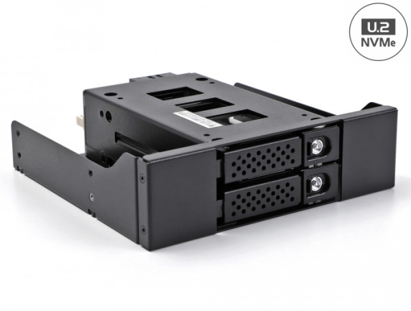 DeLOCK Slim Bay Wechselrahmen für 2 x 2.5″ U.2 NVMe SSD mit 5.25″ Rahmen (47011)