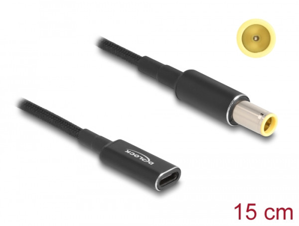 DeLOCK Adapterkabel für Notebook Ladekabel USB Type-C Buchse zu IBM 7,9 x 5,5 mm Stecker 15 cm (60041)