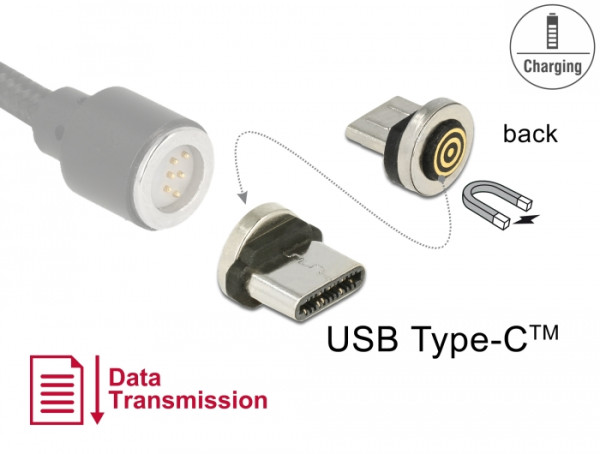 DeLOCK 65933 Kabeladapter USB Type-C magnet interface Schwarz, Edelstahl (65933)