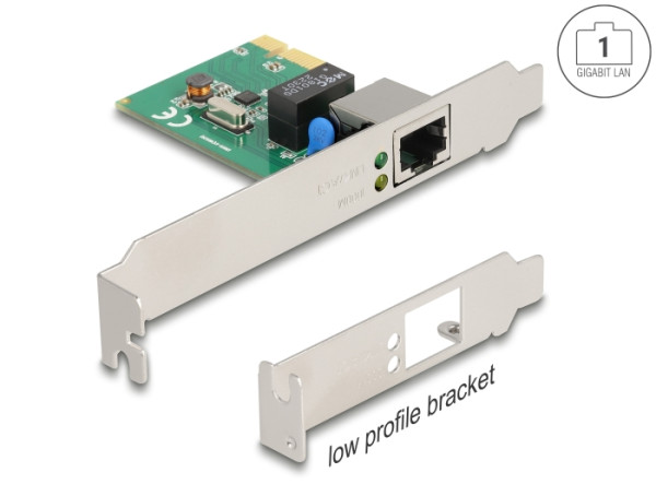 DeLOCK 90381 Netzwerkkarte Eingebaut Ethernet 100 Mbit/s (90381)