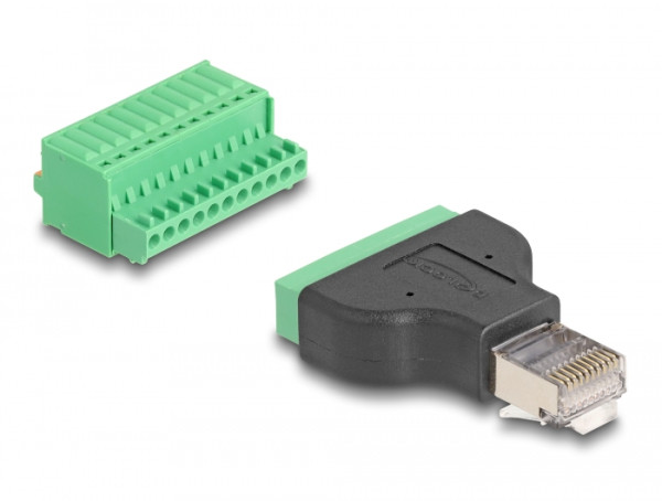 DeLOCK RJ50 Stecker zu Terminalblock Adapter mit Drucktaster (66243)