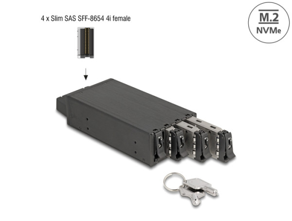 DeLOCK Slim Bay Wechselrahmen für 4 x M.2 NVMe SSD mit Slim SAS SFF-8654 Anschluss (47126)