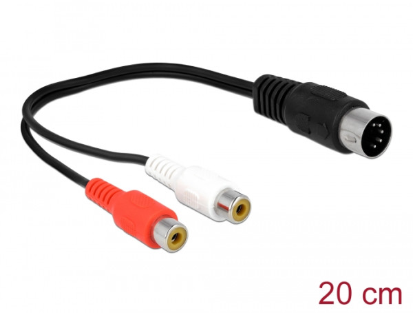 DeLOCK 85835 Audio-Kabel 0,2 m DIN 5-pin 2 x RCA Schwarz (85835)