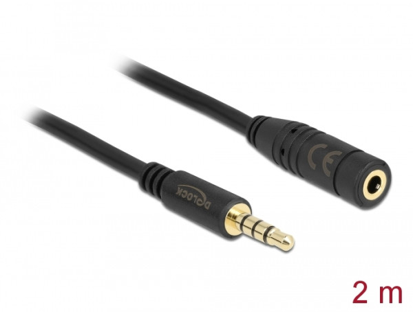 DeLOCK 84667 Audio-Kabel 2 m 3.5mm Schwarz (84667)