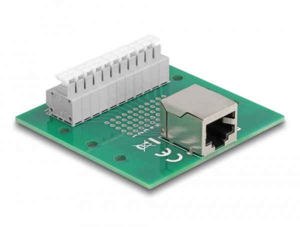 DeLOCK RJ50 Buchse zu Terminalblock mit Drucktaster für Hutschiene (67012)