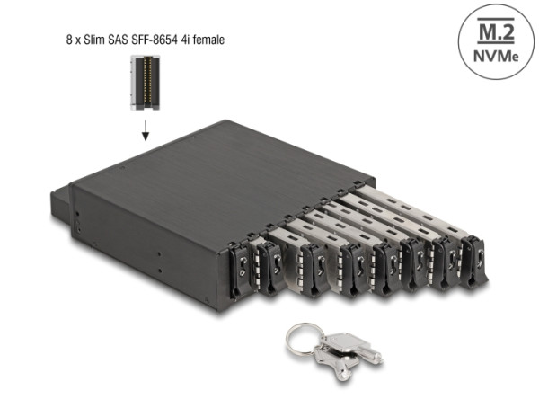 DeLOCK 5.25″ Wechselrahmen für 8 x M.2 NVMe SSD mit Slim SAS SFF-8654 Anschluss (47129)