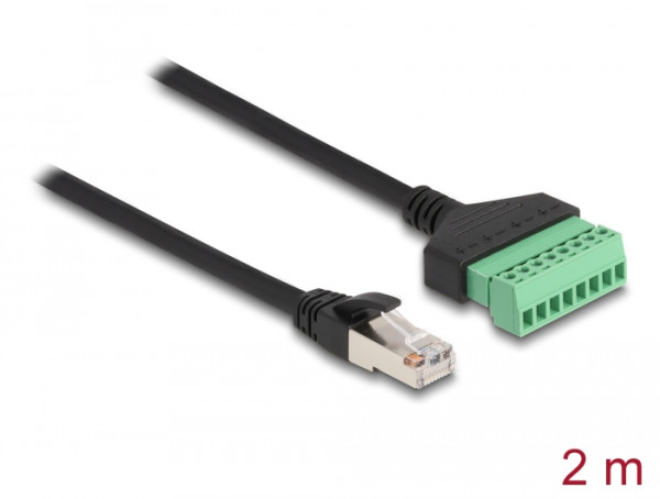 DeLOCK RJ45 Kabel Cat.6 Stecker zu Terminalblock Adapter 2 m 2-teilig (66041)