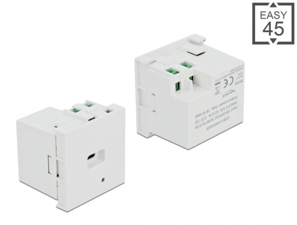 DeLOCK Easy 45 USB Ladeportmodul 1 x USB Type-C PD (81312)