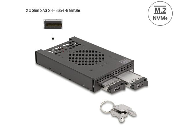 DeLOCK 3.5″ Wechselrahmen für 2 x M.2 NVMe SSD mit Slim SAS SFF-8654 Anschluss (47117)