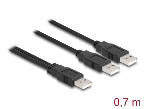 DeLOCK USB 2.0 Kabel Typ-A zu 2 x Typ-A 70 cm (80000)