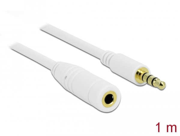 DeLOCK 3.5mm 1m Audio-Kabel Weiß (84480)
