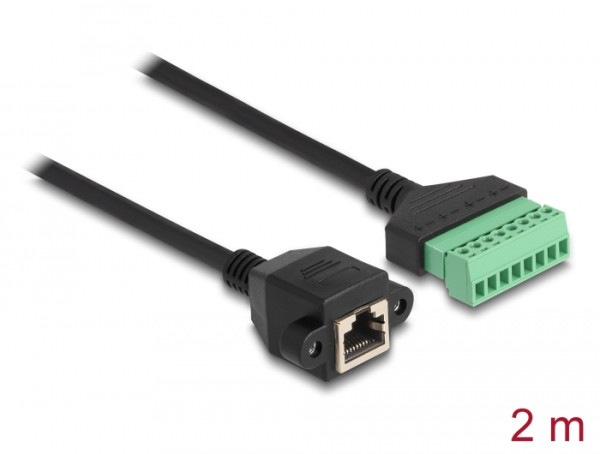 DeLOCK RJ45 Kabel Cat.6 Buchse zu Terminalblock Adapter zum Einbau 2 m 2-teilig (66060)