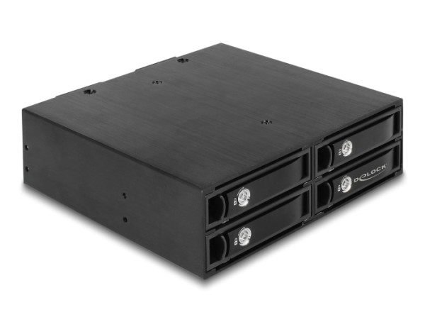 DeLOCK 47233 Hard Drive Backplane Schwarz (47233)