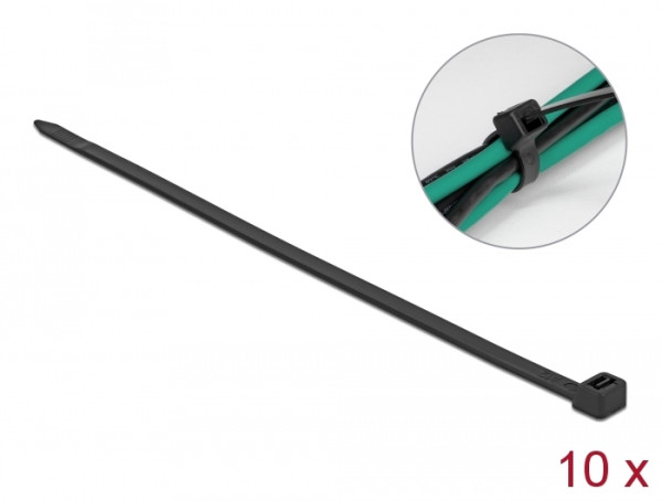 DeLOCK 18991 Kabelbinder Leiter-Kabelbinder Nylon Schwarz 10 Stücke (18991)