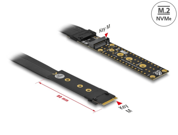 DeLOCK Riser Karte M.2 Key M Verlängerung NVMe mit 20 cm Kabel (64136)