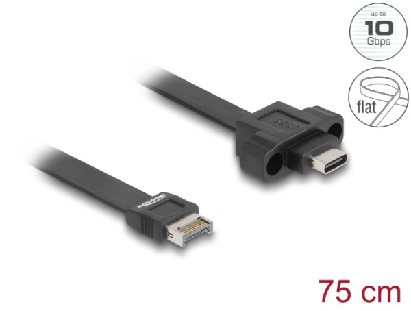 DeLOCK USB 10 Gbps Flachbandkabel Typ-E Key A 20 Pin Stecker zu USB Type-C Buchse zum Einbau 75 cm (85760)