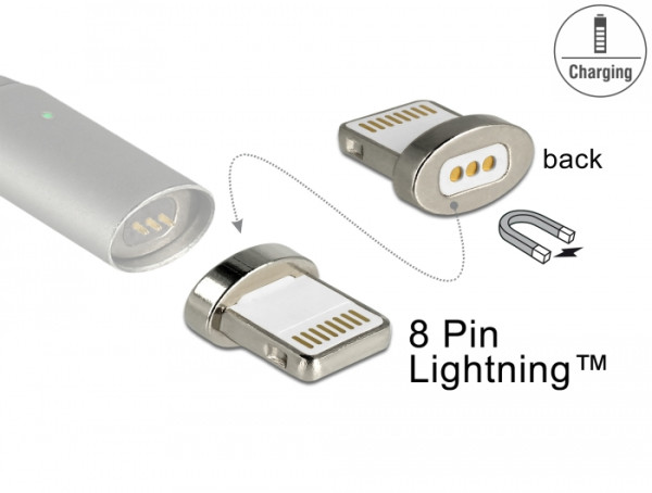 DeLOCK 65928 Kabeladapter 8 pin Lightning magnet interface Silber (65928)