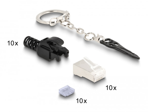 DeLOCK RJ45 Modularer Stecker Cat.6A verschließbar 10er Set (66988)
