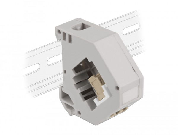 DeLOCK Hutschienenadapter mit Keystone LC Duplex Buchse zu LC Duplex Buchse beige (87193)
