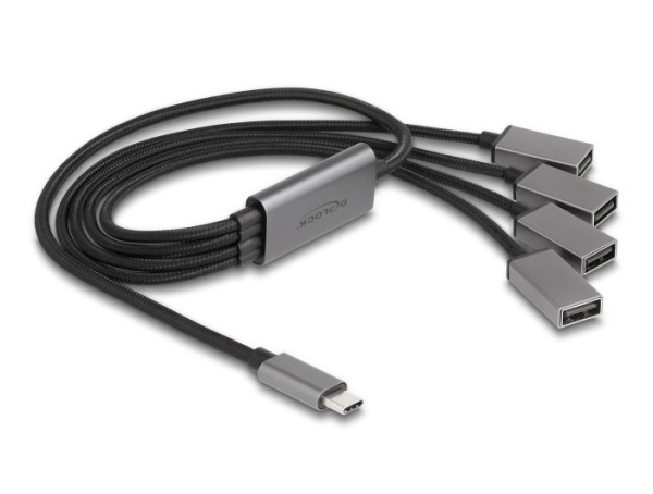 DeLOCK 4 Port USB 2.0 Kabel-Hub mit USB Type-C Anschluss 60 cm (64210)