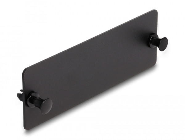 DeLOCK LWL Blindpanel schwarz (66935)