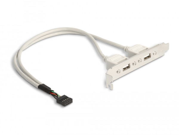 DeLOCK Slotbracket 1x internal USB 5pin > 2x USB2.0 external (71000)