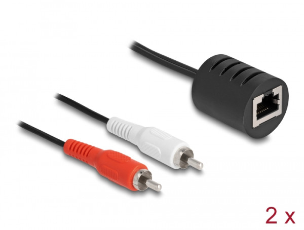 DeLOCK Stereo Audio Extender RJ45 Buchse zu 2 x Cinch Stecker Cat.5 bis 50 m Set 2 Stück (87857)