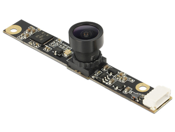 DeLOCK 95979 Laptop-Ersatzteil Kamera (95979)