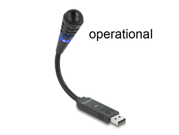 DeLOCK USB Mikrofon mit Schwanenhals und Mute Button (66499)