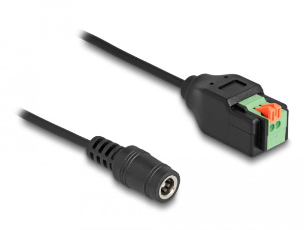 DeLOCK DC 5,5 x 2,1 mm Buchse zu 2 Pin Terminalblock Adapter mit Drucktaster 15 cm (66326)