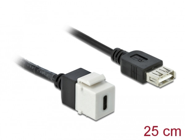 DeLOCK 86391 Keystone-Modul (86391)