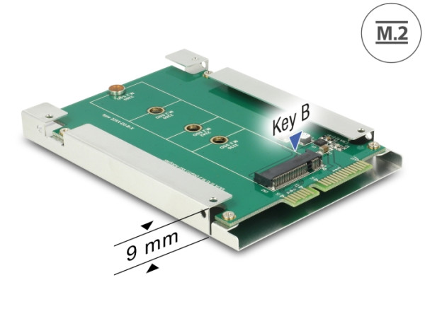 DeLOCK 62552 Schnittstellenkarte/Adapter (62552)