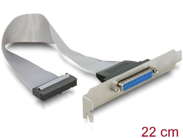 DeLOCK 84300 SATA-Kabel 0,22 m (84300)
