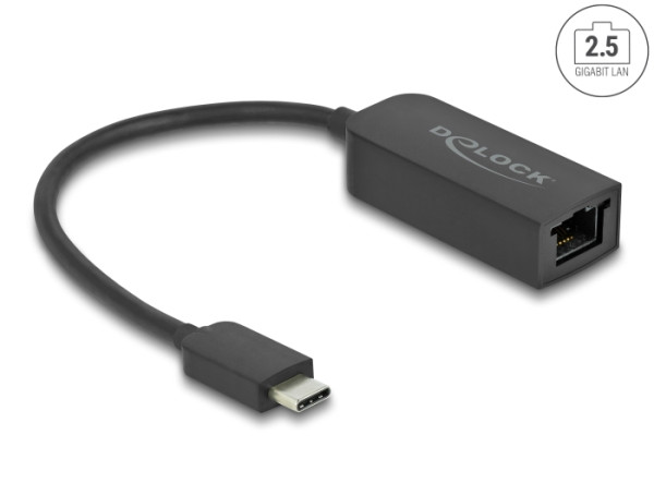DeLOCK Adapter USB Type-C Stecker zu 2,5 Gigabit LAN kompakt (66645)