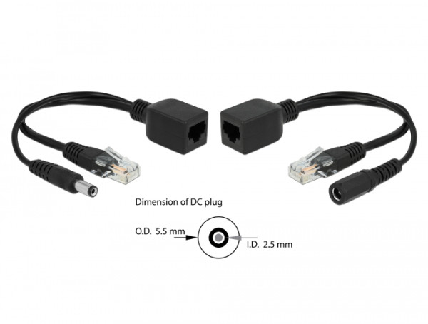 DeLOCK 66024 PoE-Adapter Schnelles Ethernet (66024)