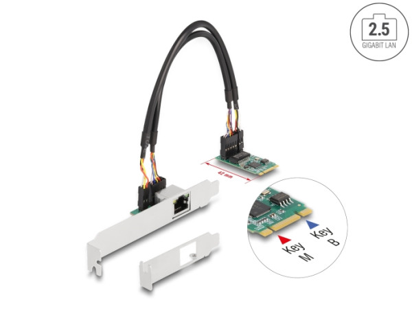 DeLOCK M.2 Key B+M 1 x RJ45 2,5 Gigabit LAN Netzwerkkarte (95272)