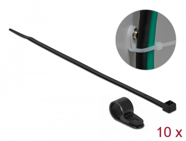 DeLOCK 18870 Kabelbinder Leiter-Kabelbinder Nylon Schwarz 10 Stücke (18870)