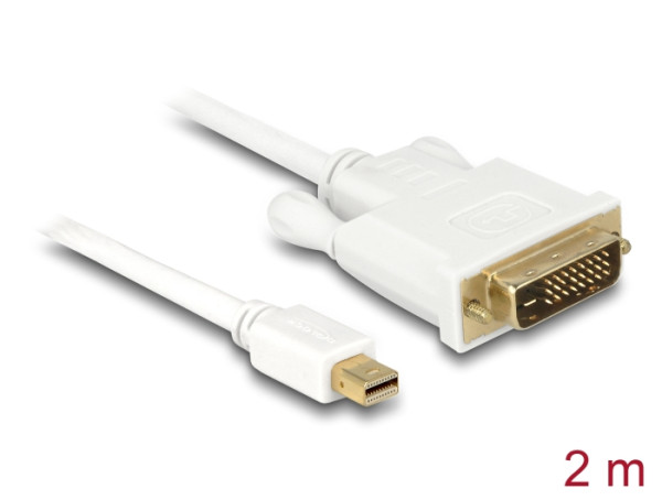 DeLOCK 82918 Videokabel-Adapter 2 m mini Displayport Weiß (82918)