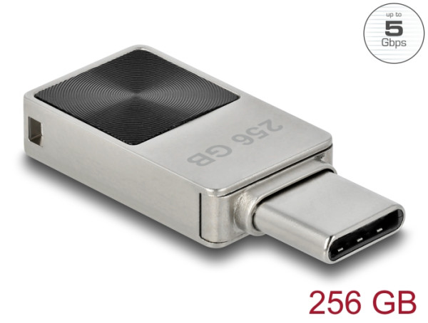 DeLOCK Mini USB 5 Gbps USB-C Speicherstick 256 GB - Metallgehäuse (54009)