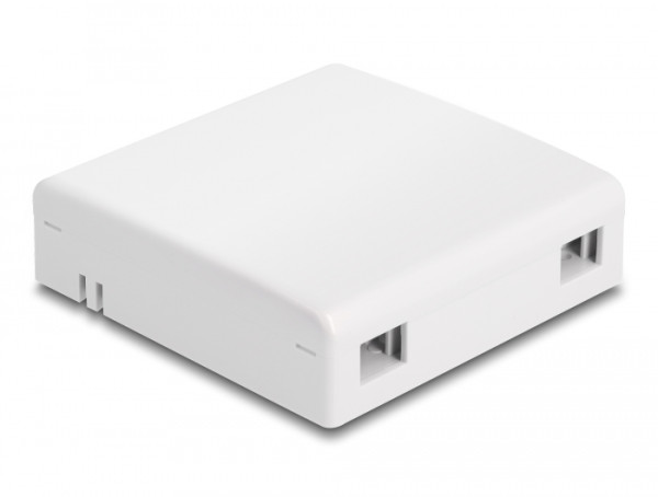 DeLOCK LWL Anschlussdose zur Wandmontage für 2 x SC Simplex oder LC Duplex weiß (87897)